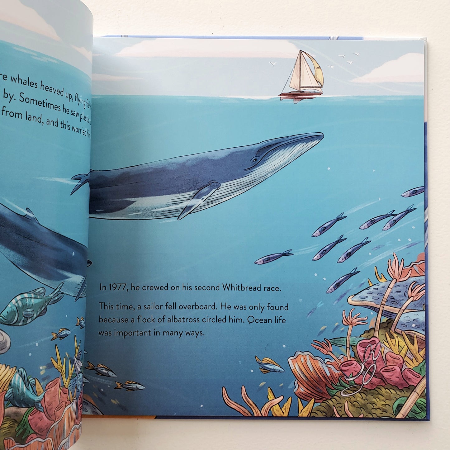 Hero of the Sea - Sir Peter Blake's Mighty Ocean Quests