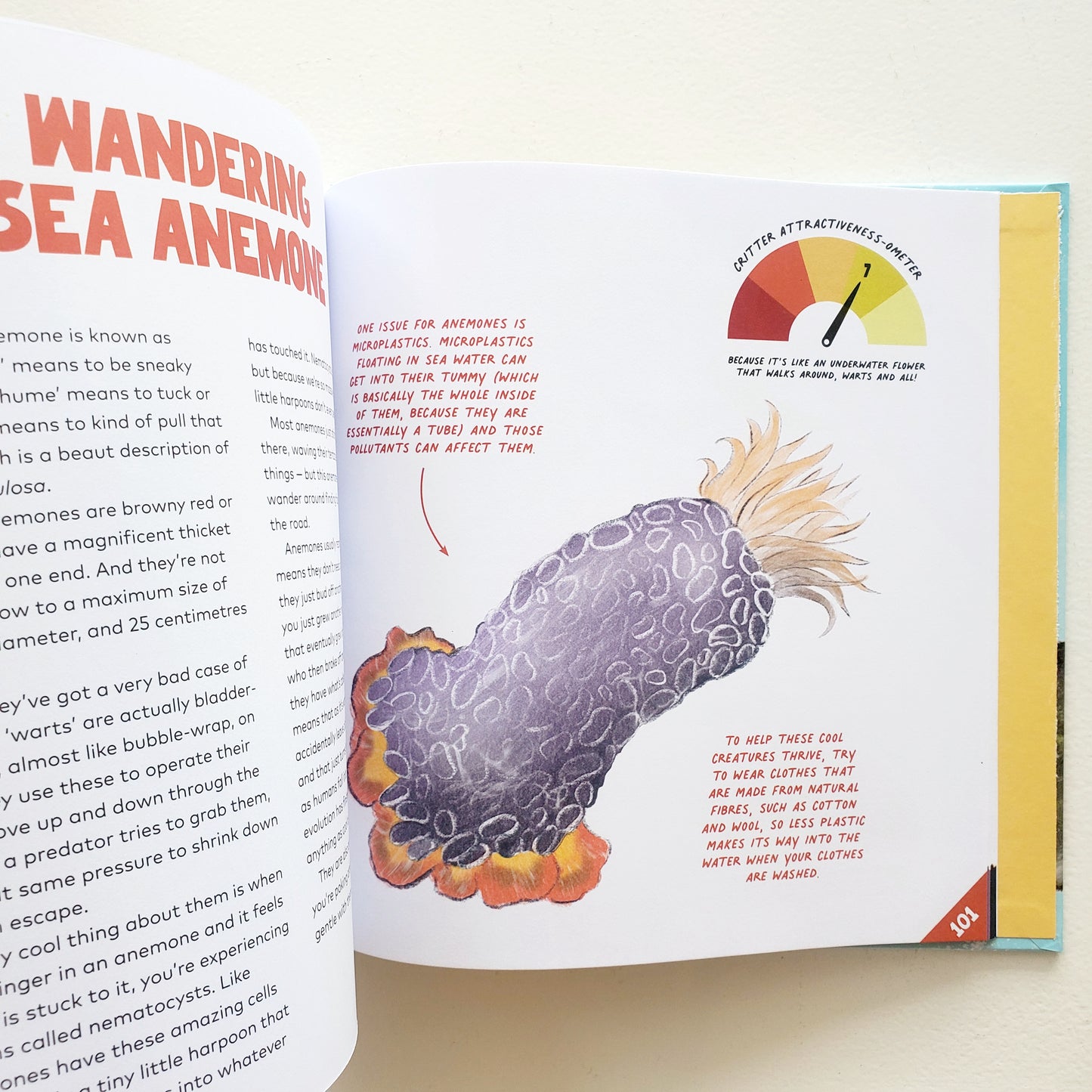Critters of Aotearoa