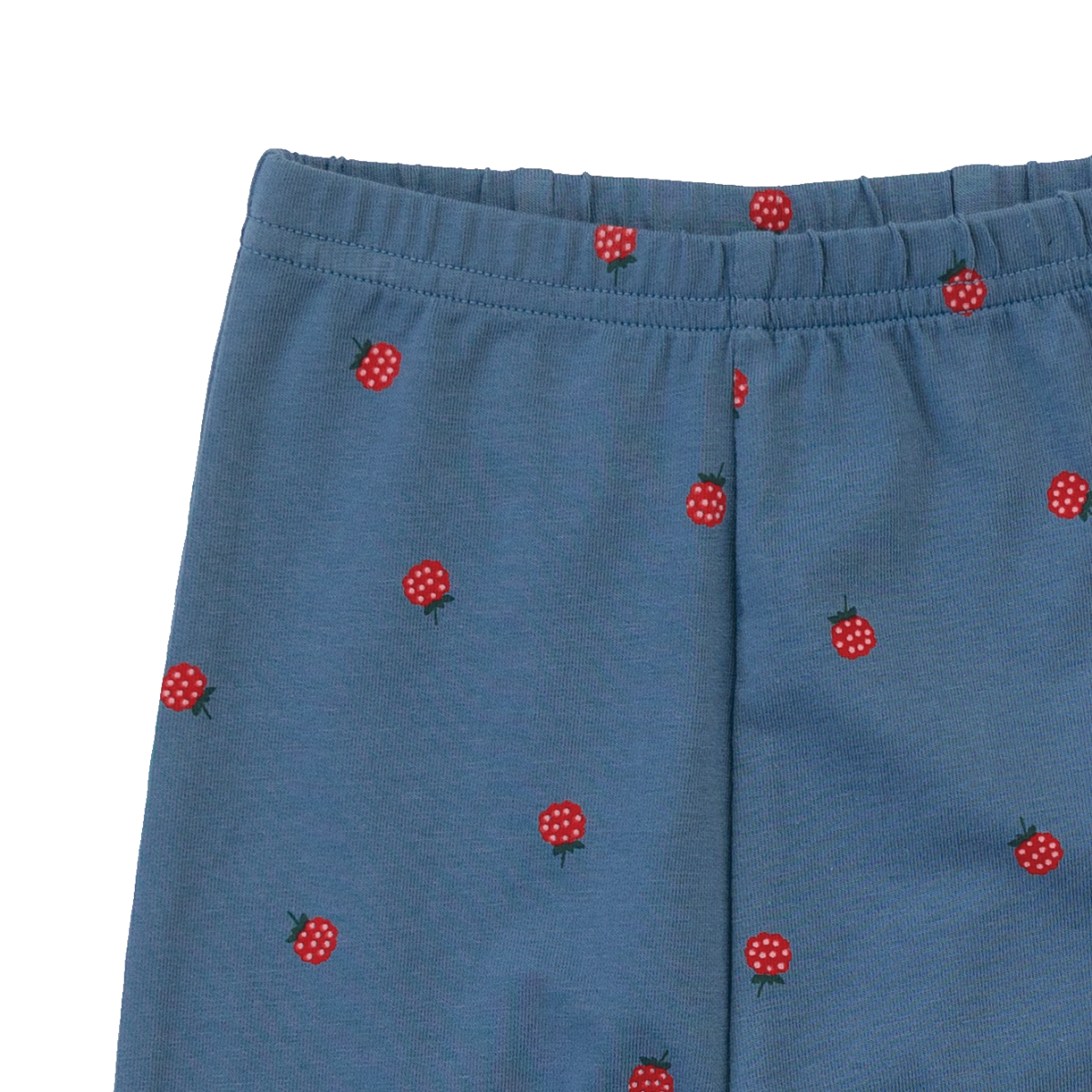 Leggings - Raspberry Blue Print