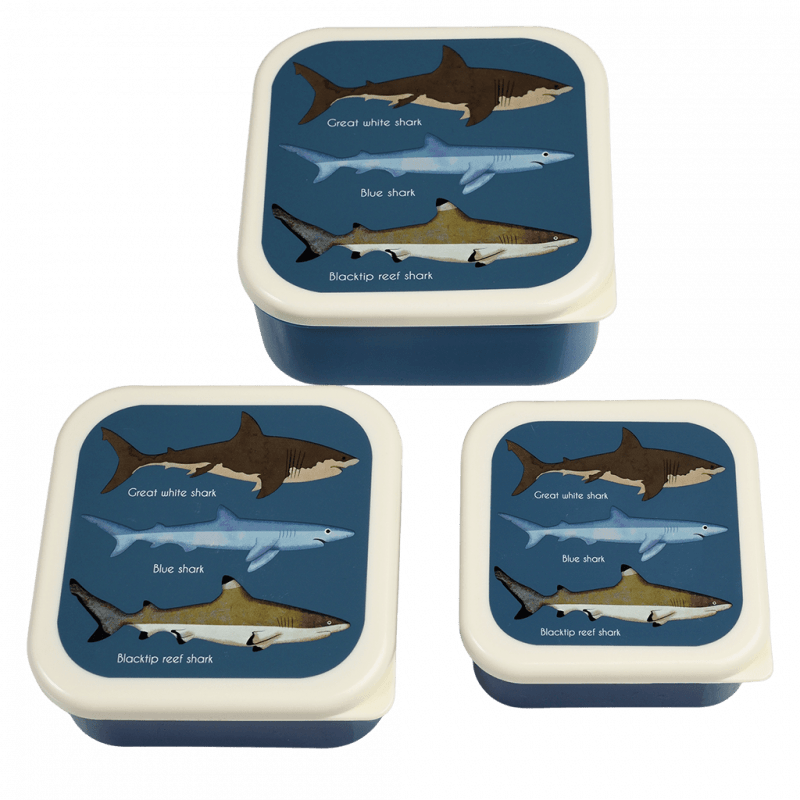 Snack Boxes