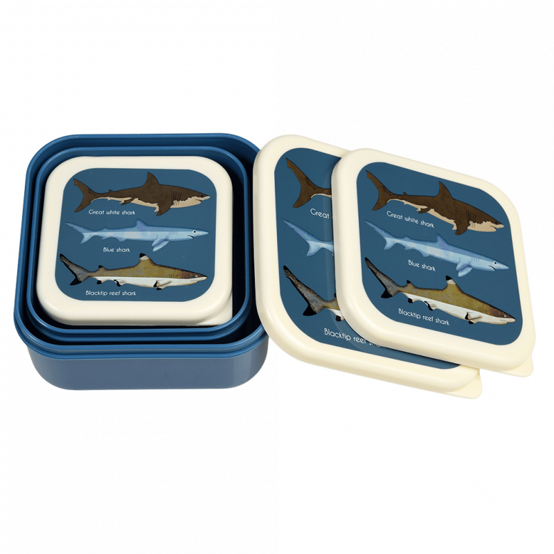 Snack Boxes