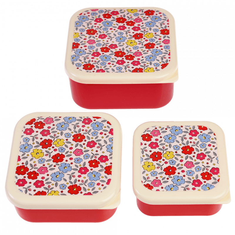 Snack Boxes