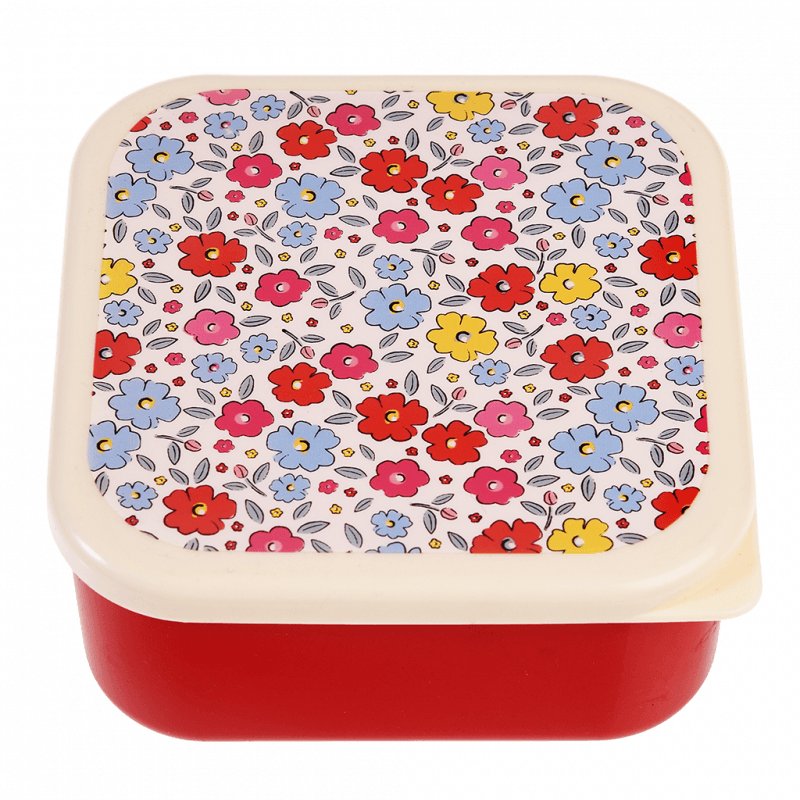 Snack Boxes