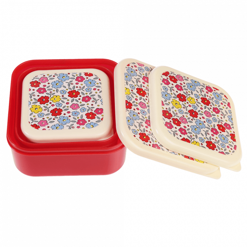 Snack Boxes