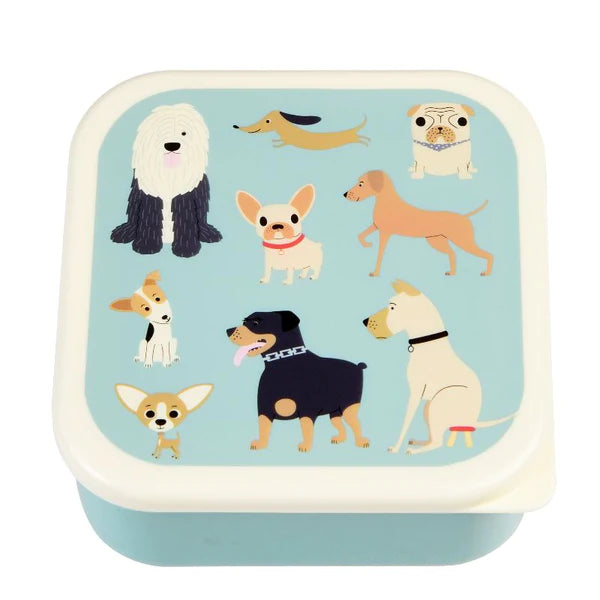 Snack Boxes