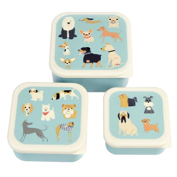 Snack Boxes