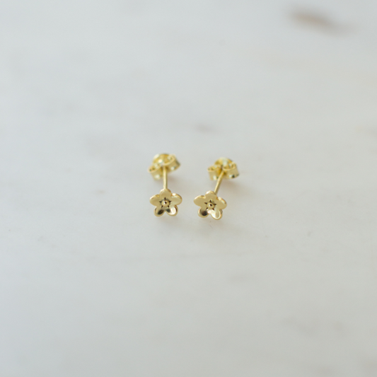 Daisy Day Studs
