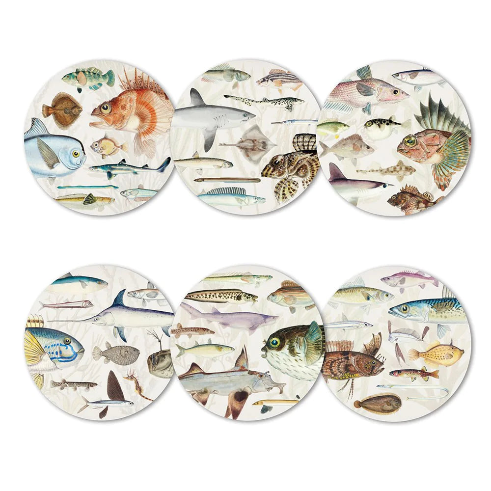 Fishes Of New Zealand Set Of Six Coasters