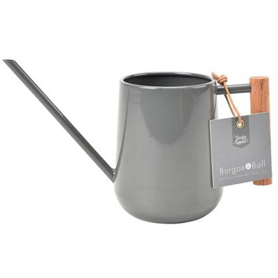 Indoor Watering Can + Colours
