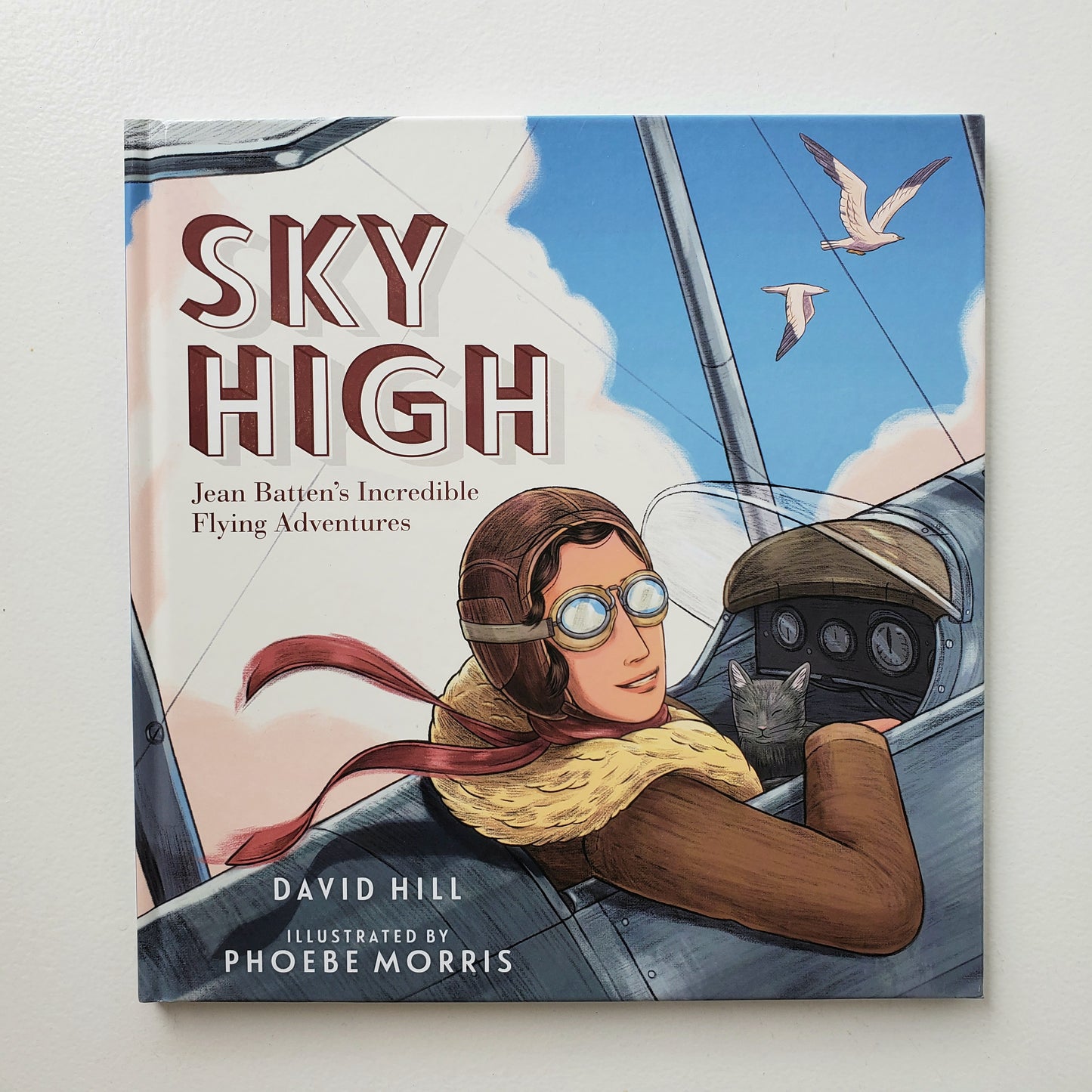 Sky High - Jean Batten's Incredible Flying Adventures