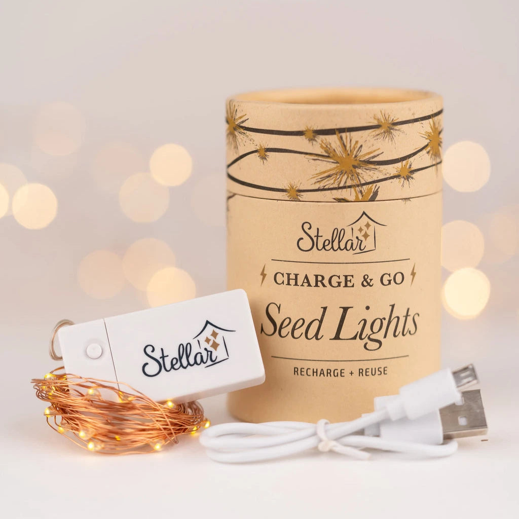 Charge & Go Lights