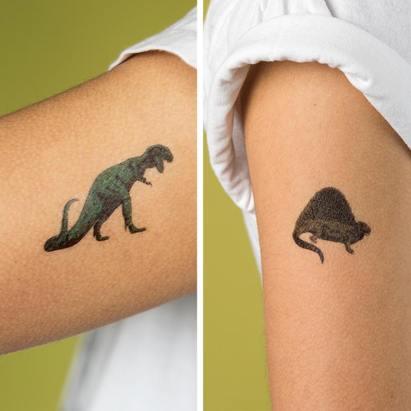 Temporary Tattoos - Fairies and Dinosaurs