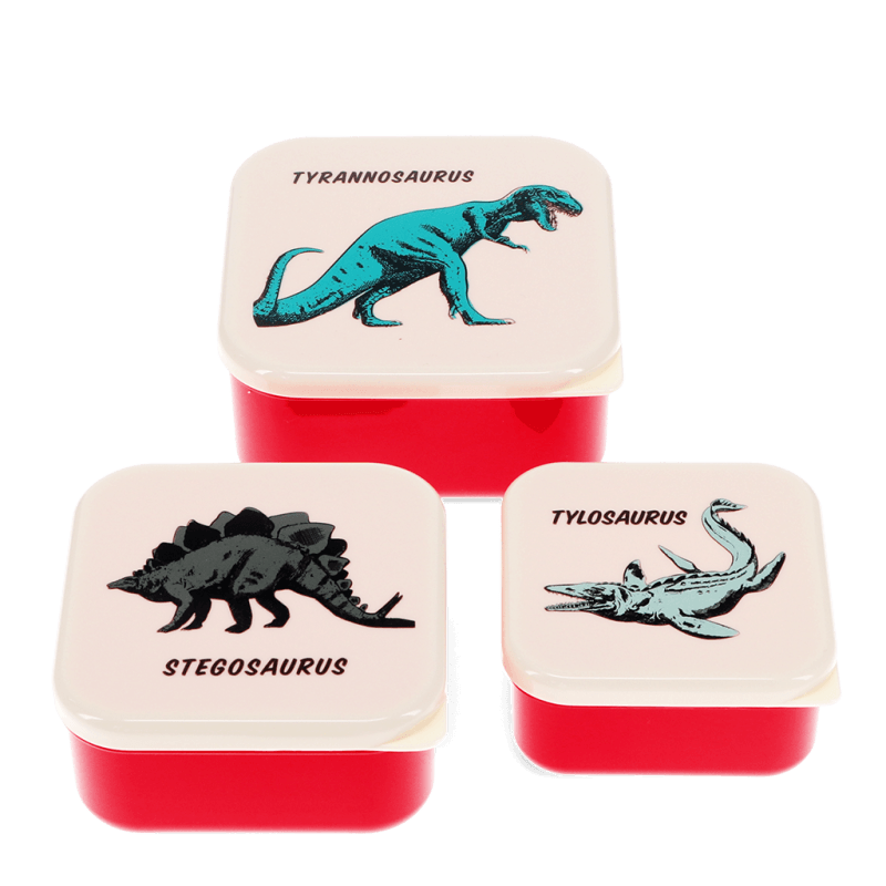 Snack Boxes