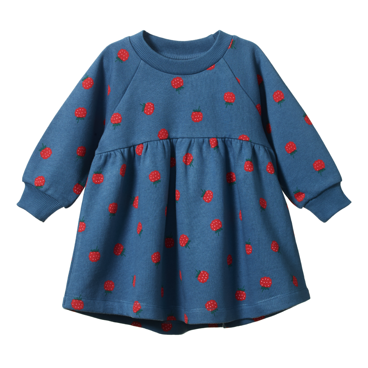 Ines Dress Blue - Raspberry