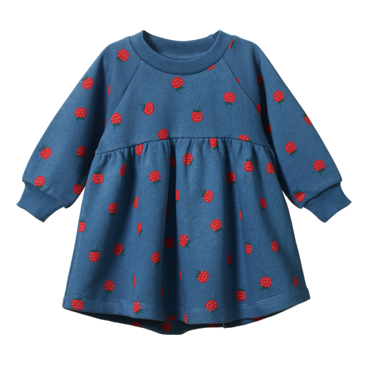 Ines Dress Blue - Raspberry