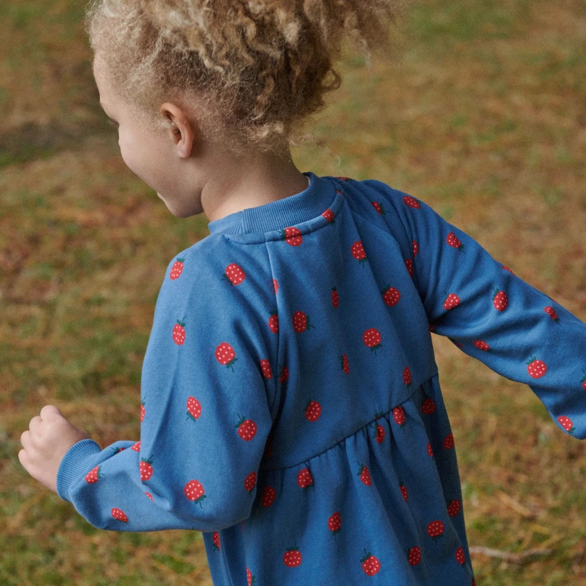 Ines Dress Blue - Raspberry