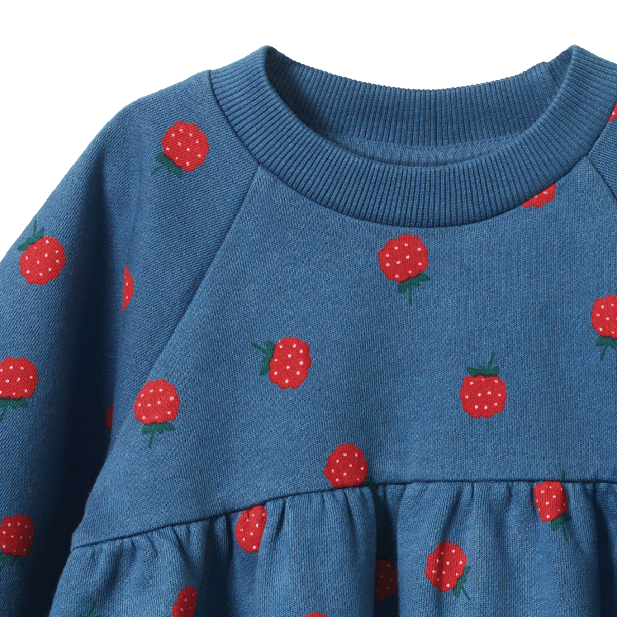Ines Dress Blue - Raspberry