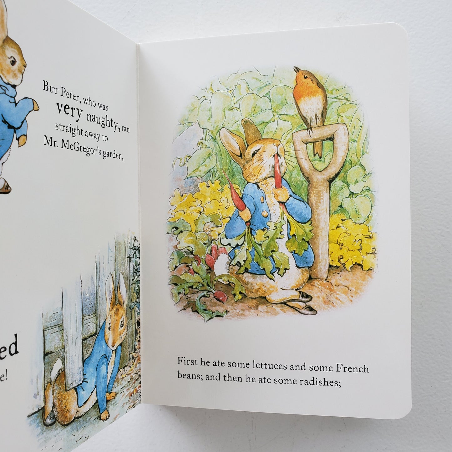 Tale of Peter Rabbit Board Book