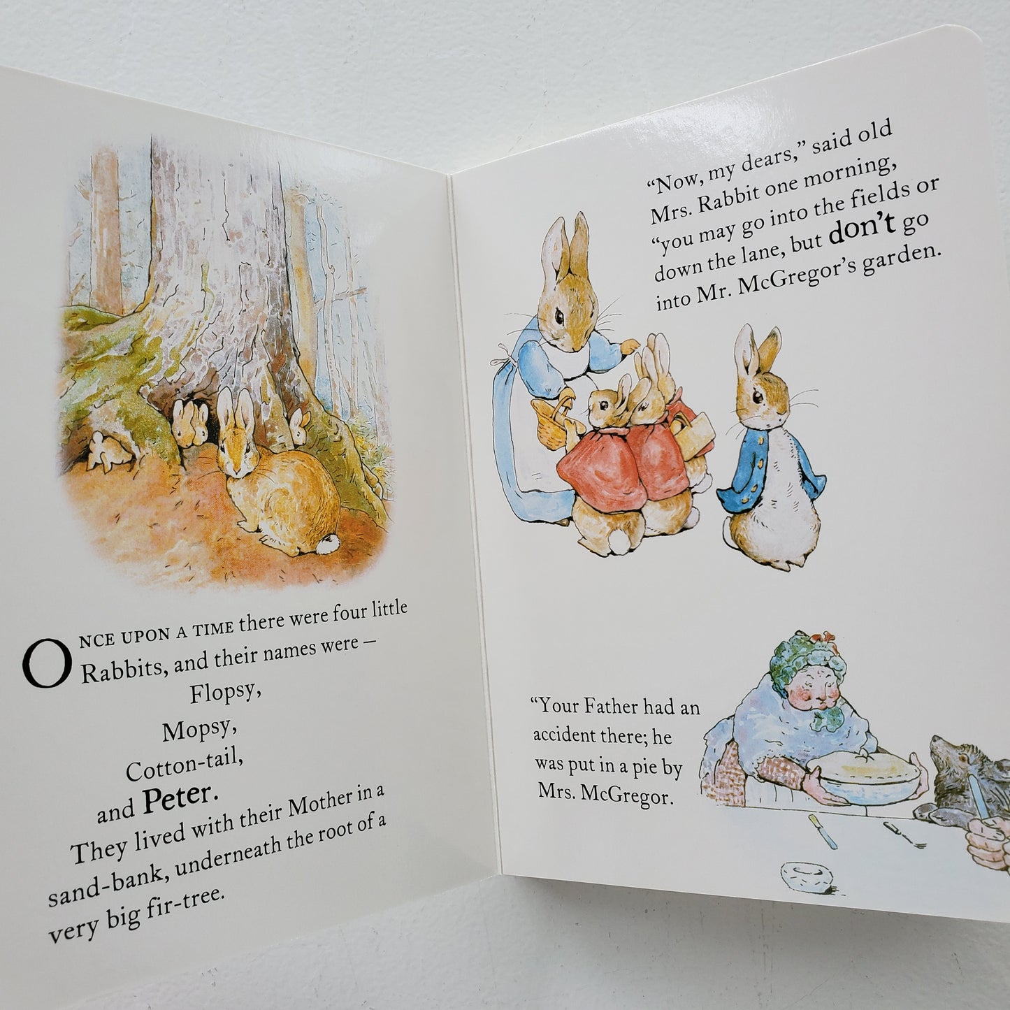 Tale of Peter Rabbit Board Book