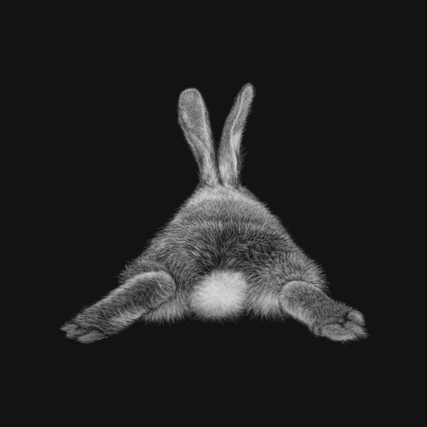 Cotton Tail - Black Box Frame(15.5cm x 15.5cm)
